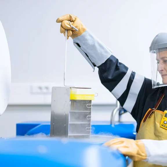 Équipement de Protection