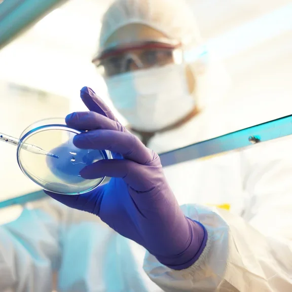 Culture cellulaire - Laboratoire